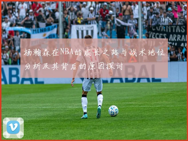 杨瀚森在NBA的成长之路与战术地位分析及其背后的原因探讨