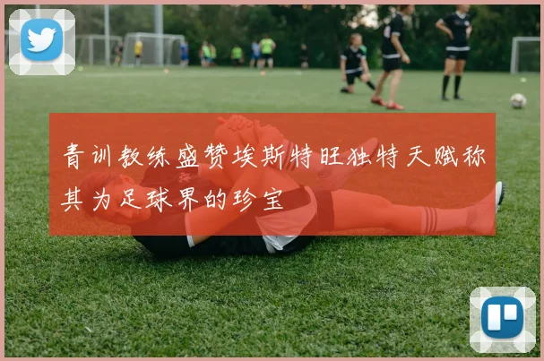青训教练盛赞埃斯特旺独特天赋称其为足球界的珍宝