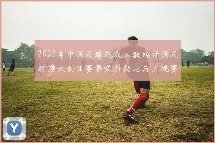 2025年中国足球观众人数统计国足对澳大利亚赛事吸引超七万人观赛