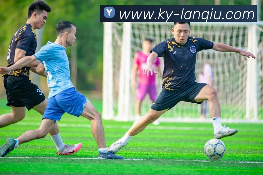 多媒体互动体验